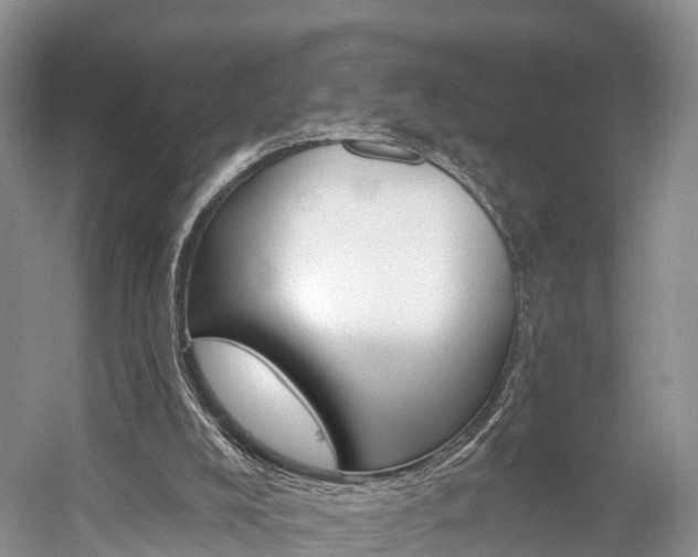 X0000059820008200510211007