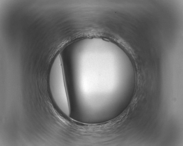 X0000059820009200510211007