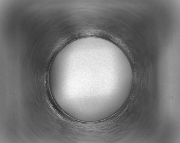 X0000059820010200510211007