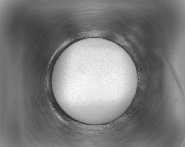 X0000059820012200510211007