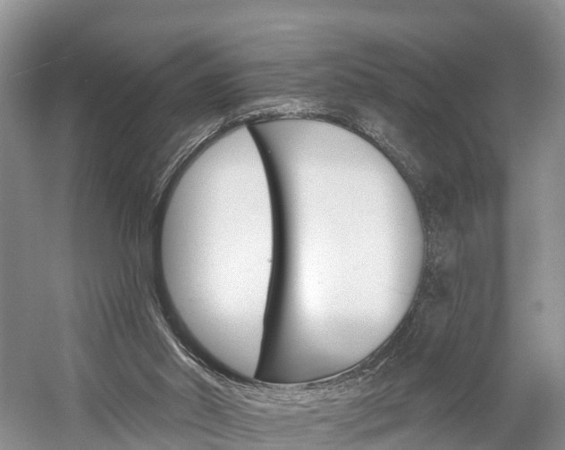 X0000059820014200510211007