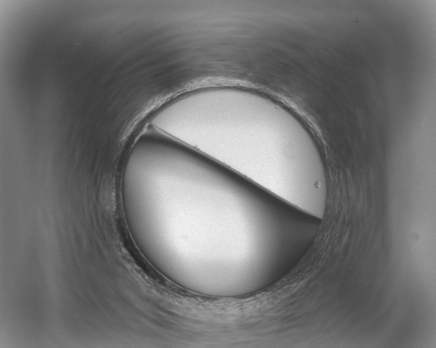 X0000059820015200510211007