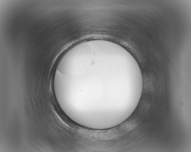 X0000059820016200510211007