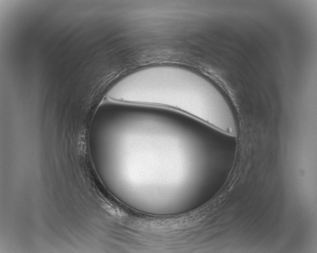 X0000059820017200510211007