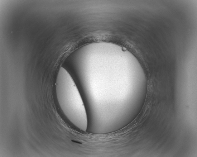 X0000059820018200510211007