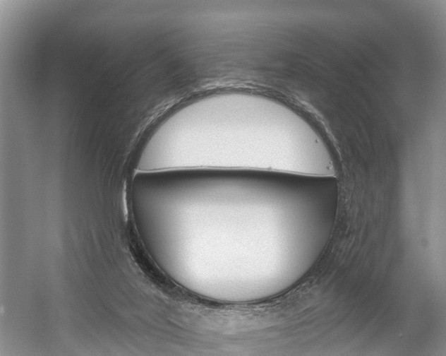 X0000059820020200510211007