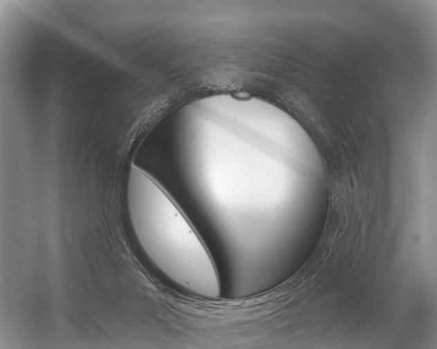 X0000059820023200510211007