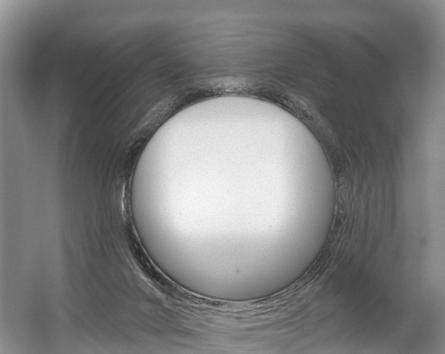 X0000059820024200510211007