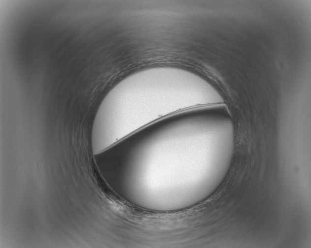 X0000059820025200510211007