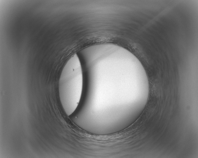 X0000059820026200510211007