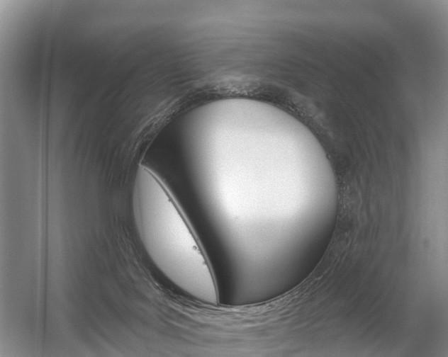 X0000059820027200510211007