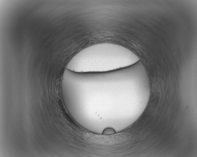 X0000059820030200510211007