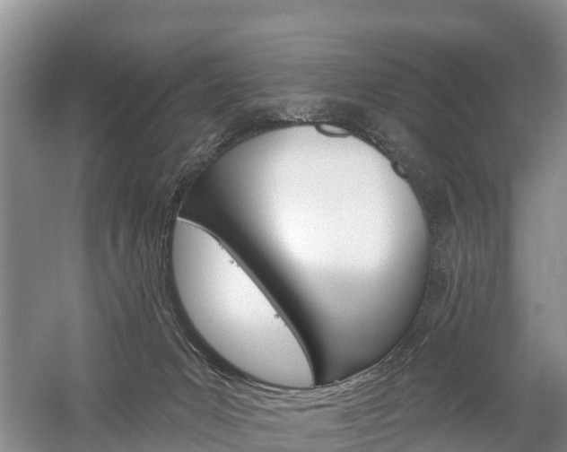 X0000059820031200510211007