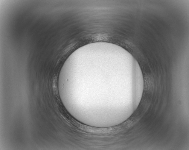 X0000059820032200510211007