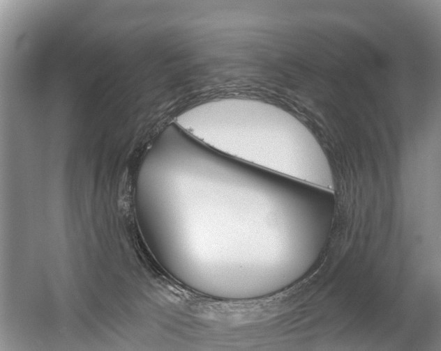 X0000059820033200510211007