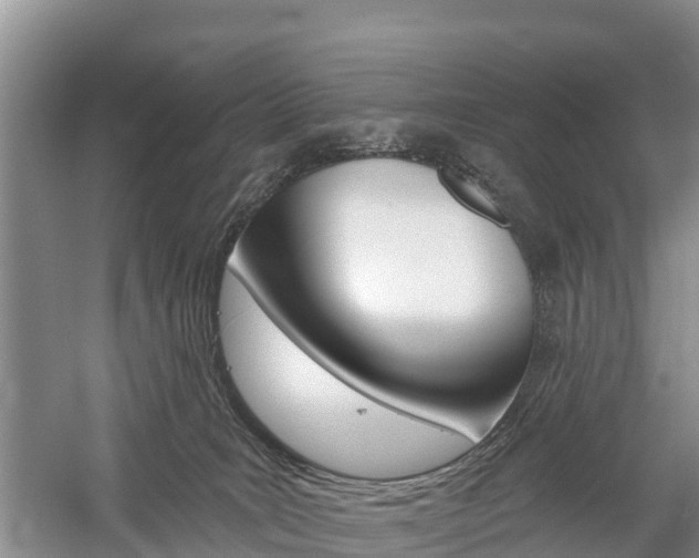 X0000059820035200510211007