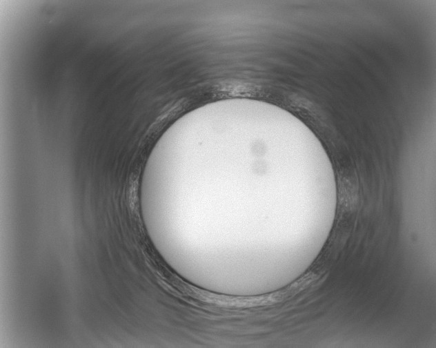 X0000059820036200510211007