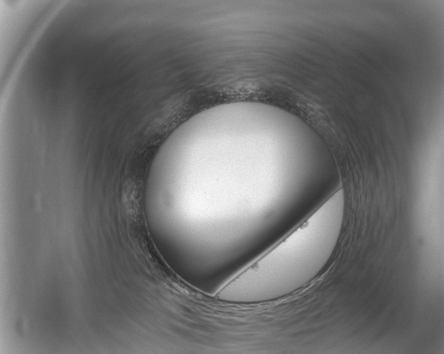 X0000059820037200510211007