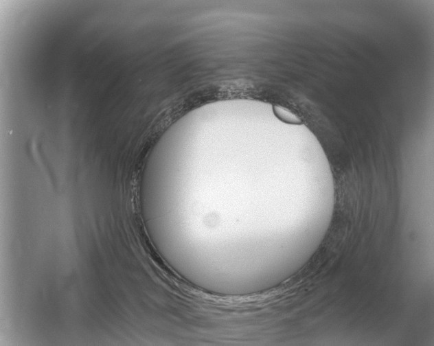 X0000059820038200510211007