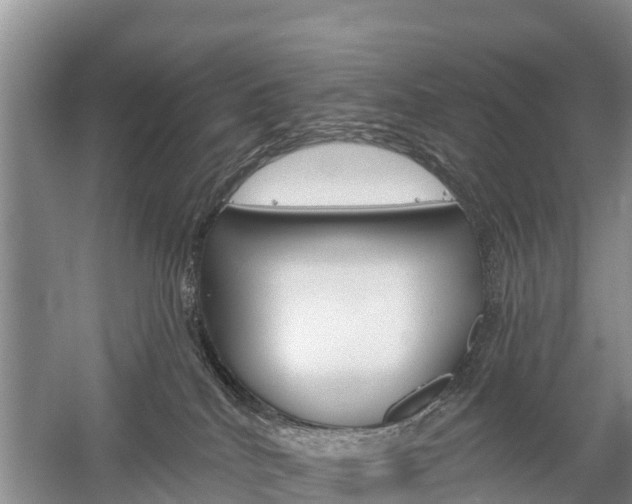 X0000059820040200510211007