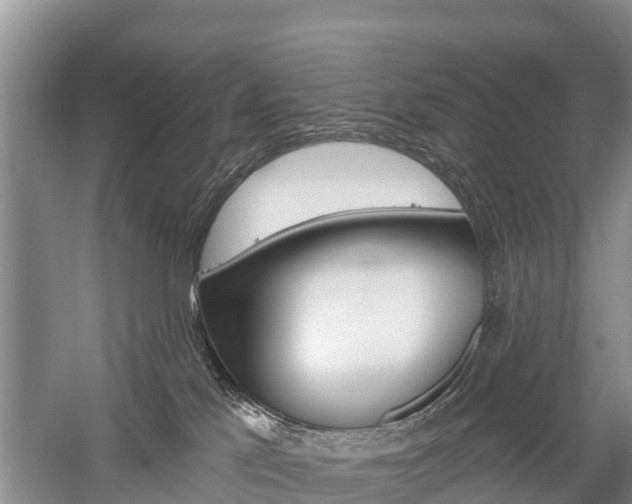 X0000059820041200510211007