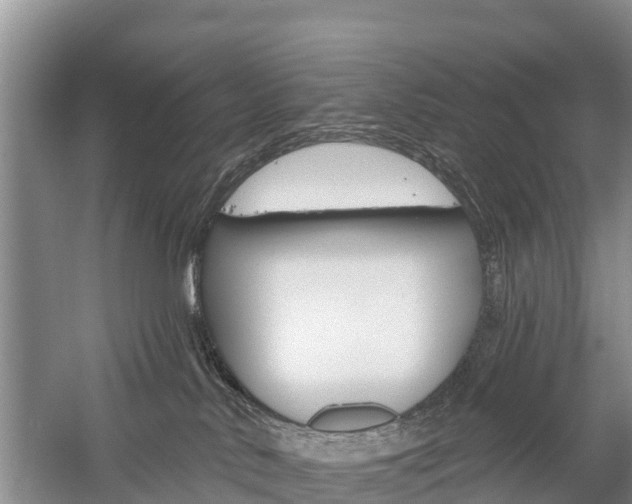 X0000059820042200510211007