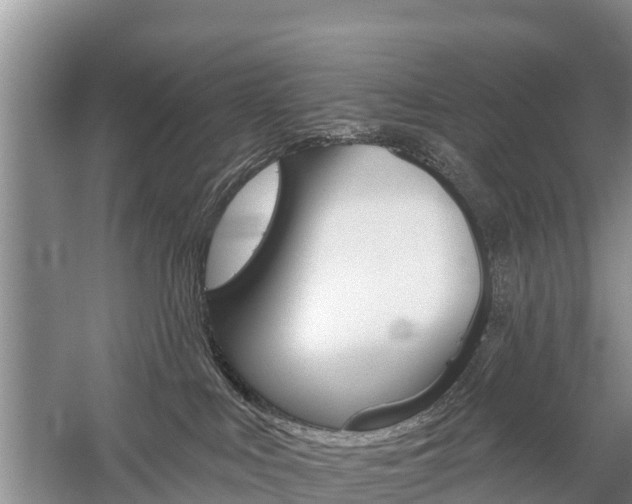 X0000059820043200510211007