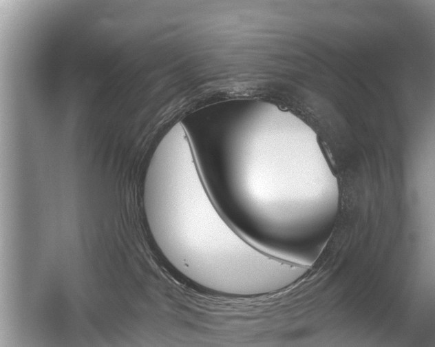 X0000059820044200510211007