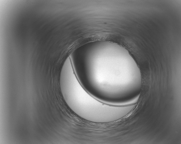 X0000059820045200510211007