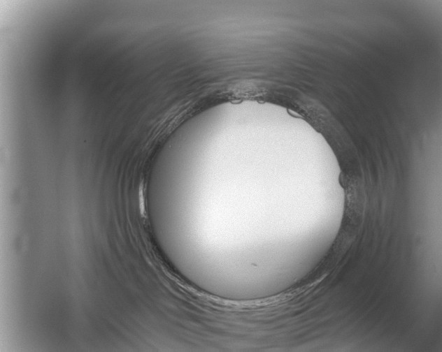 X0000059820046200510211007