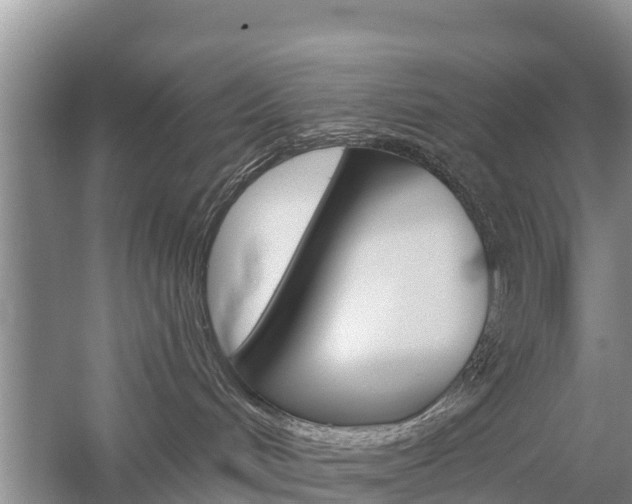 X0000059820048200510211007