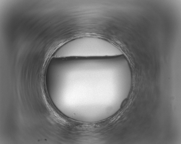 X0000059820049200510211006