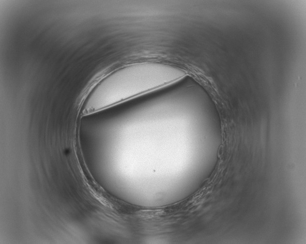 X0000059820051200510211006