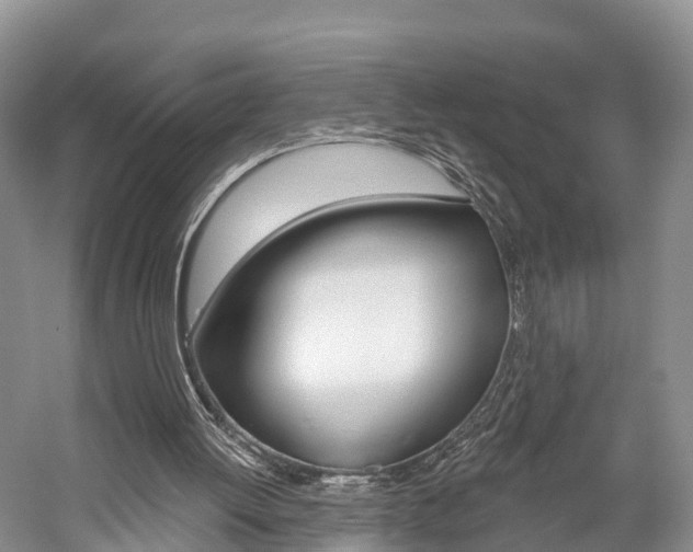 X0000059820052200510211006