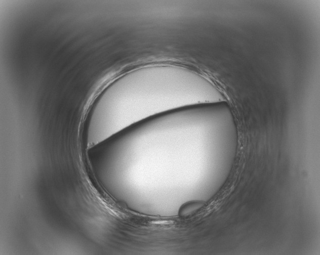 X0000059820053200510211006