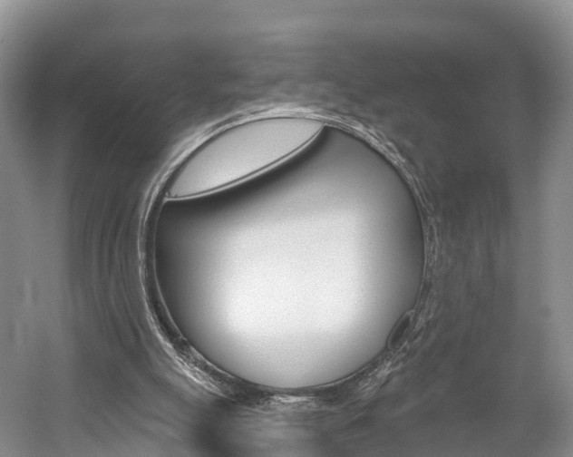 X0000059820055200510211006