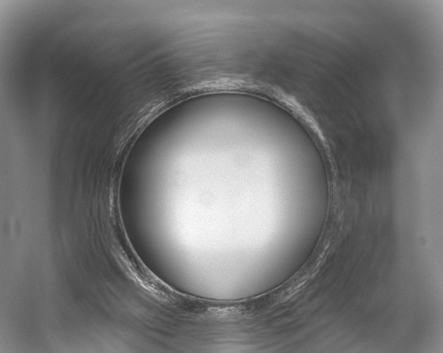 X0000059820057200510211006