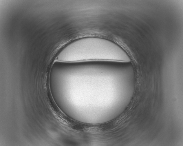 X0000059820058200510211006