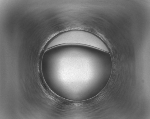 X0000059820060200510211006