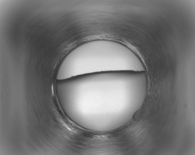 X0000059820061200510211006