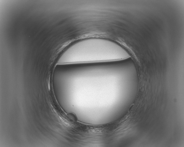 X0000059820062200510211006