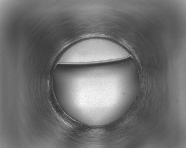 X0000059820063200510211006