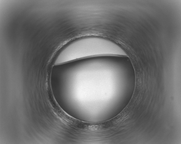 X0000059820064200510211006