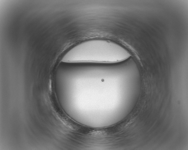 X0000059820067200510211006