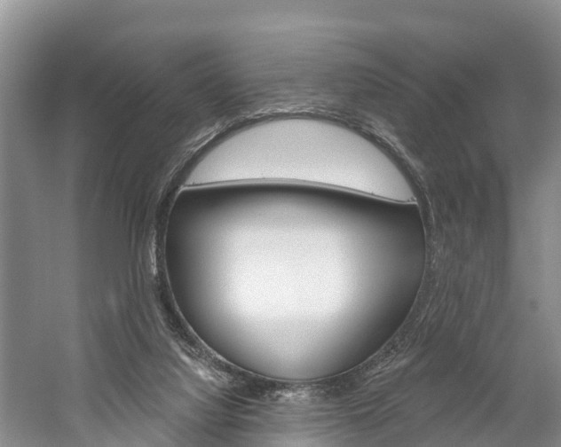 X0000059820068200510211006