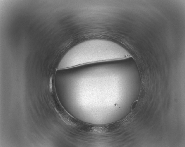 X0000059820070200510211006