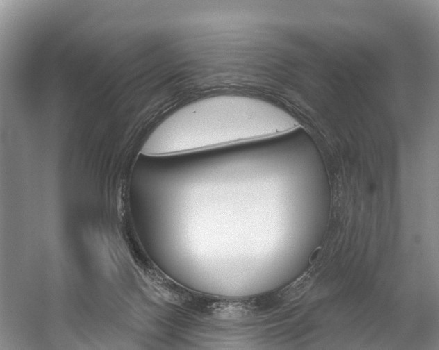 X0000059820074200510211006