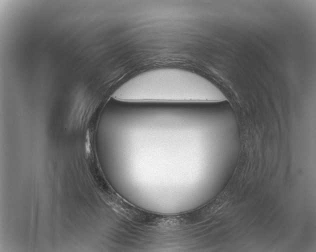 X0000059820075200510211006