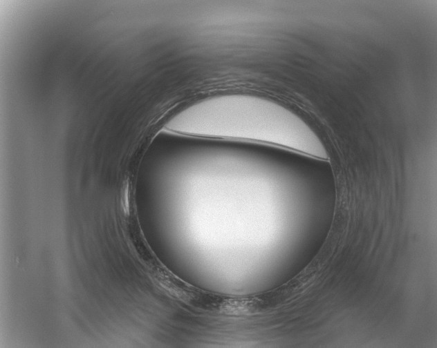 X0000059820076200510211006