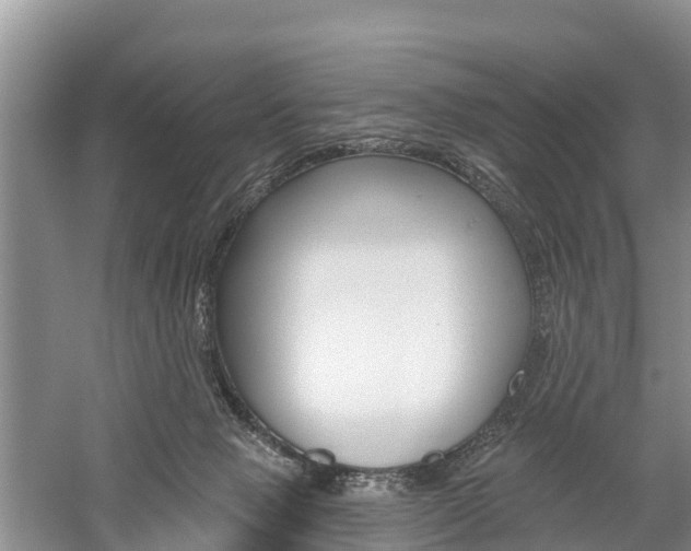 X0000059820077200510211006